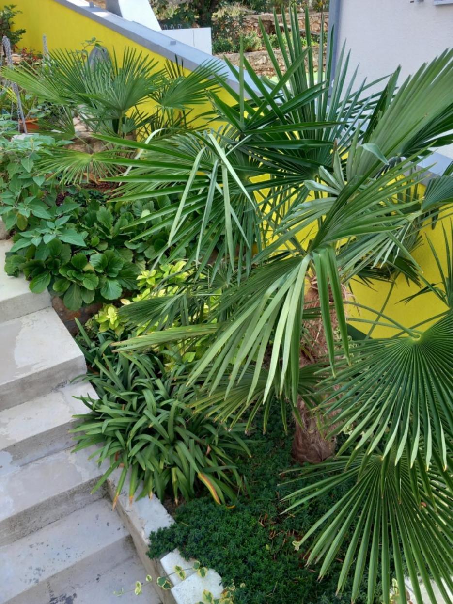 La Catedral Apartment Sveti Petar  Ngoại thất bức ảnh